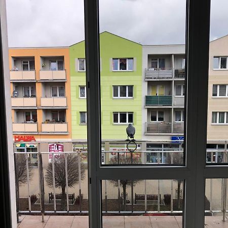 Apartament Kosciuszki 马尔堡 外观 照片